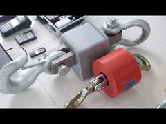 Écailles suspendues dans la salle d'échantillonnage